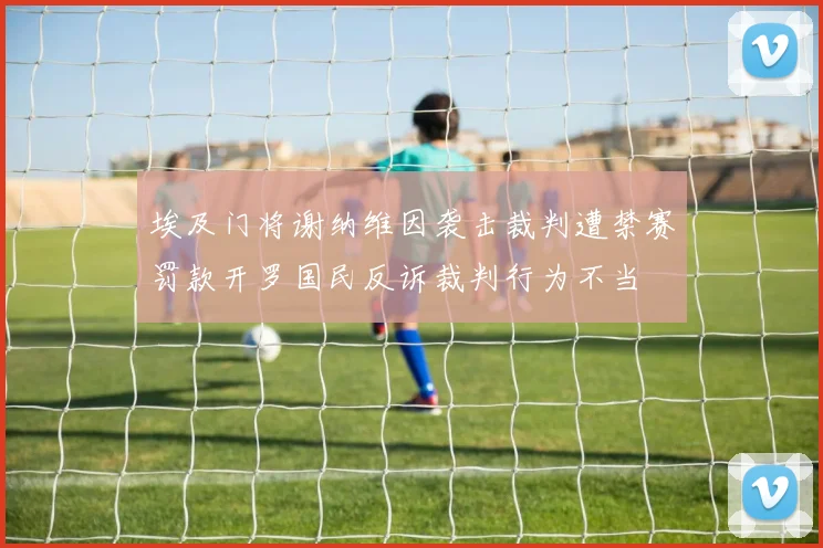 埃及门将谢纳维因袭击裁判遭禁赛罚款开罗国民反诉裁判行为不当